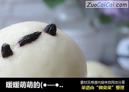 暖暖萌萌的(●—●)豆沙包