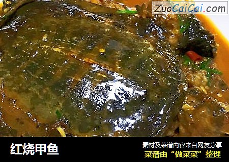 红烧甲鱼
