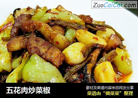 五花肉炒菜椒