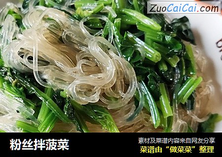 粉丝拌菠菜