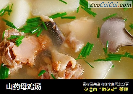 山药母鸡汤