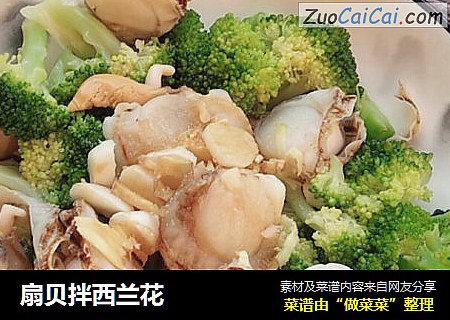 扇贝拌西兰花