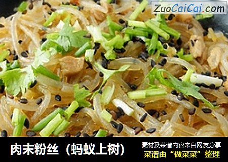 肉末粉丝（蚂蚁上树）
