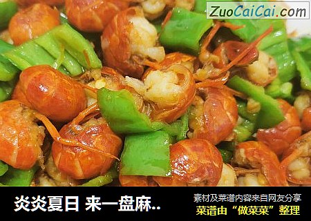 炎炎夏日 来一盘麻辣鲜香的小龙虾 配一支冰冻啤酒 保证能让你驱走夏日的炎热