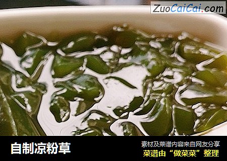 自制凉粉草