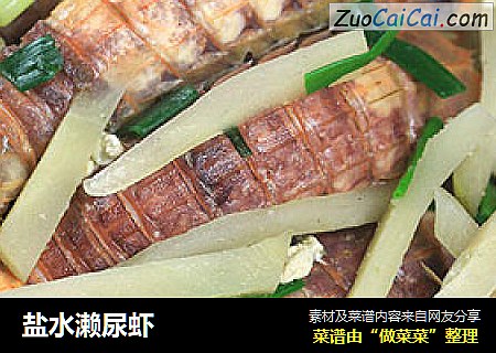 盐水濑尿虾