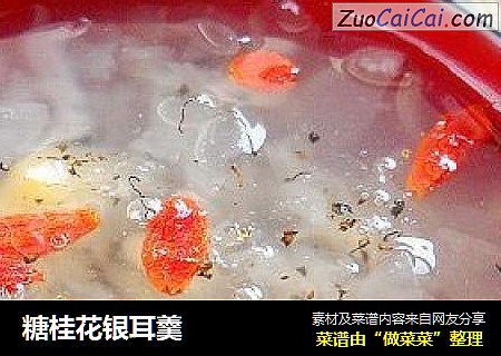 糖桂花银耳羹