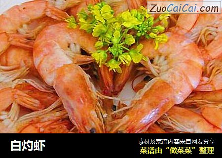 白灼虾