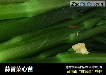 蒜香菜心苗