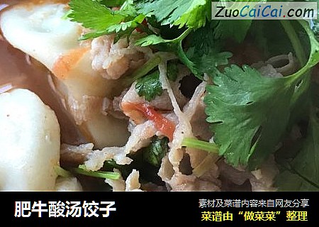 肥牛酸汤饺子