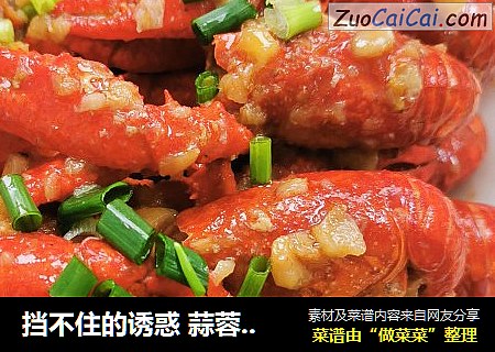 挡不住的诱惑 蒜蓉虾 