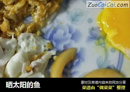 晒太阳的鱼