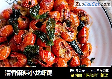 清香麻辣小龙虾尾
