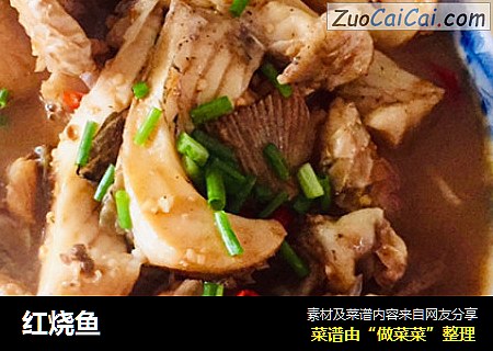 红烧鱼