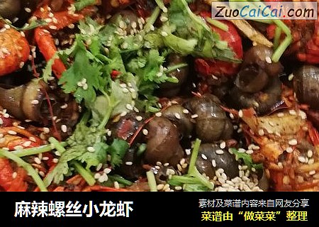 麻辣螺丝小龙虾
