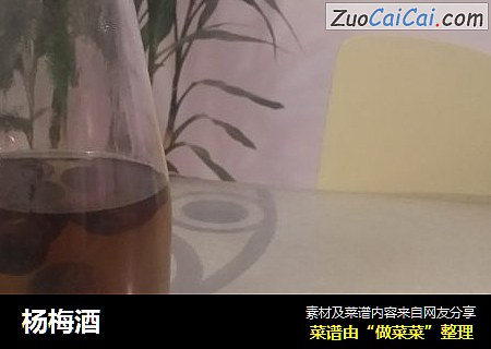 杨梅酒