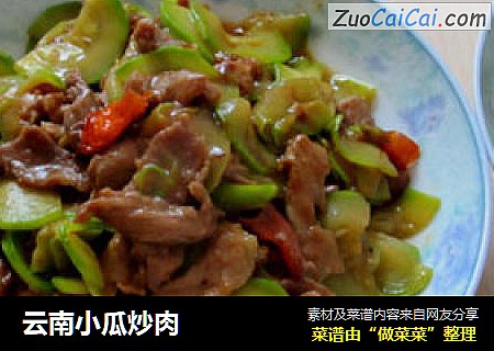 云南小瓜炒肉