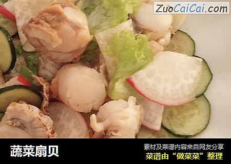 蔬菜扇贝