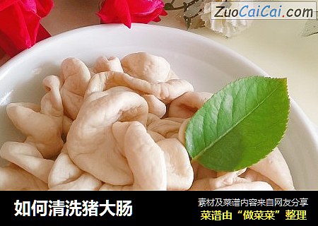 如何清洗猪大肠