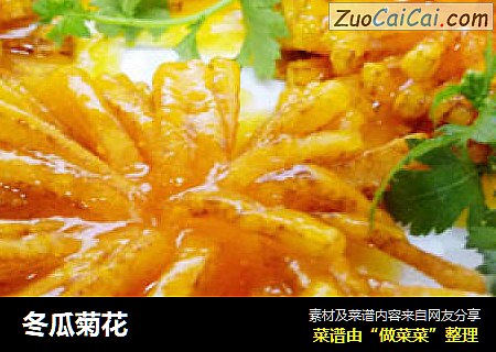 冬瓜菊花