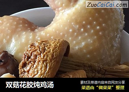 双菇花胶炖鸡汤