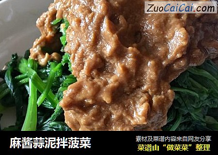 麻酱蒜泥拌菠菜