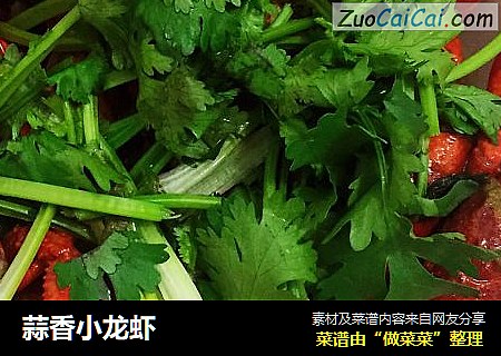 蒜香小龙虾