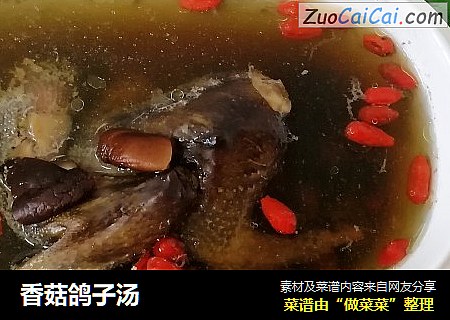 香菇鸽子汤