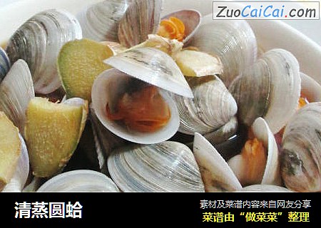 清蒸圆蛤