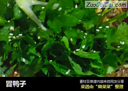 冒鸭子