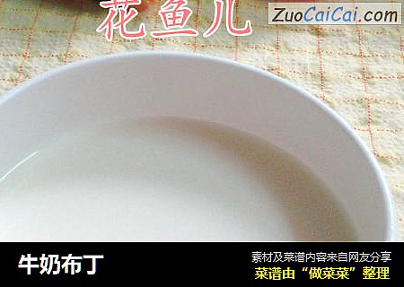 牛奶布丁