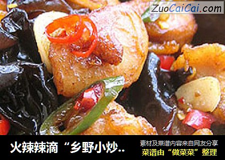火辣辣滴“乡野小炒鸡”