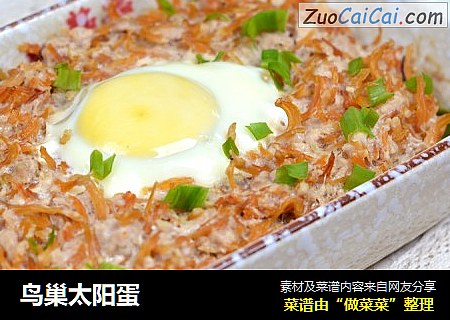 鸟巢太阳蛋