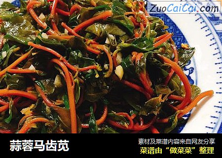 蒜蓉马齿苋
