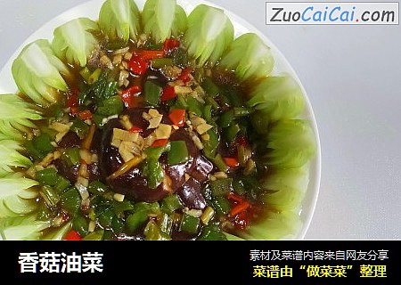 香菇油菜