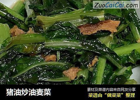 猪油炒油麦菜