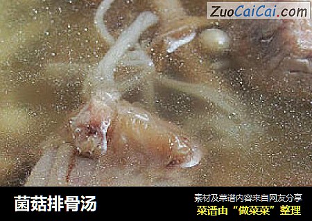 菌菇排骨汤