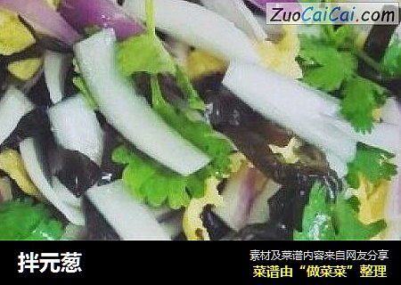 拌元葱
