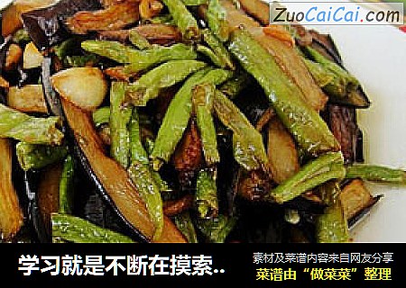 学习就是不断在摸索中前进－－蒜蓉豆角炒茄子
