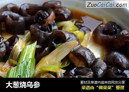 大葱烧乌参