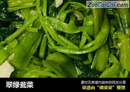 翠绿瓮菜