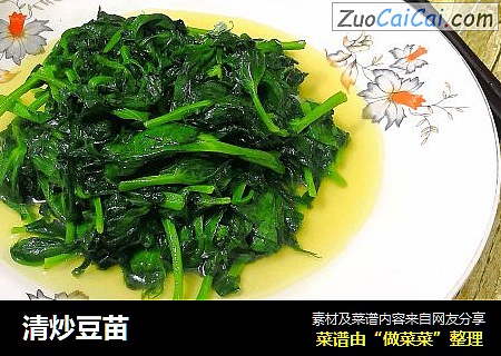 清炒豆苗
