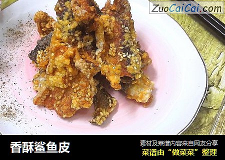香酥鲨鱼皮