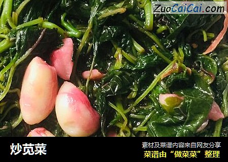 炒苋菜