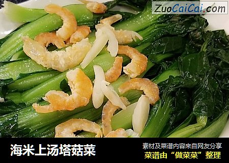 海米上汤塔菇菜