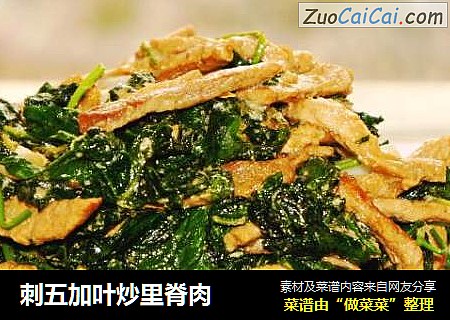 刺五加叶炒里脊肉