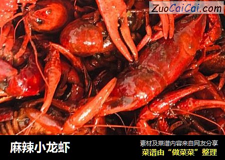 麻辣小龙虾