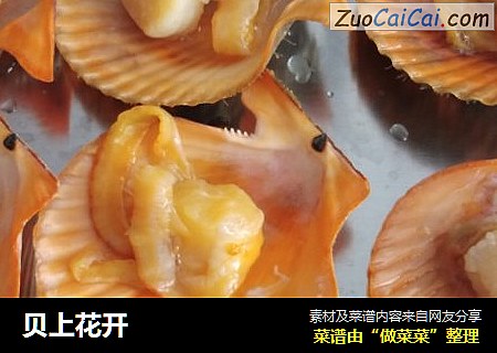 贝上花开