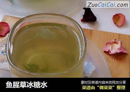 鱼腥草冰糖水