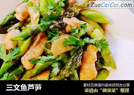 三文鱼芦芛